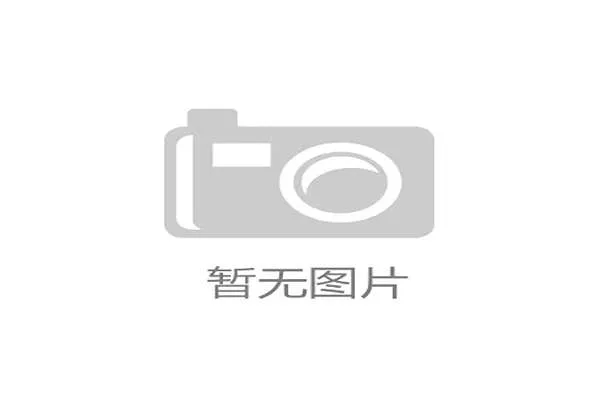 一星四射：持球大核心的标配，一星四射是什么阵容